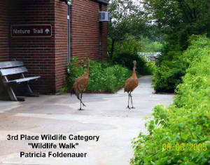 cranesnaturewalk.jpg.w300h235.jpg