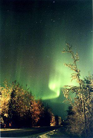 northernlights.jpg